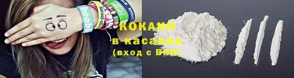 шишки Заводоуковск