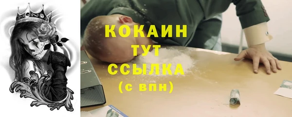 гидропоника Медногорск