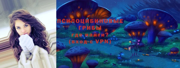 экстази Медвежьегорск