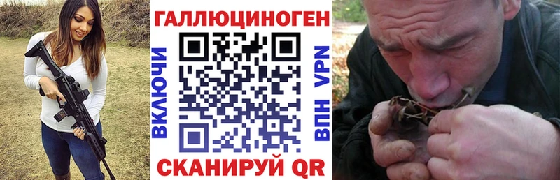 Псилоцибиновые грибы мицелий закладка Верхний Тагил